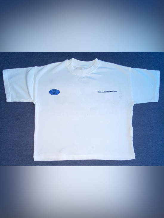 Zara Other - Boys White 'Small Wins Matter' Graphic Tee